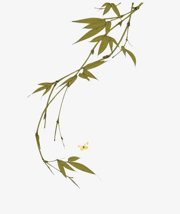 手绘柳条装饰免抠