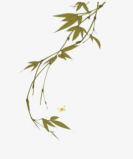 手绘柳条装饰免抠