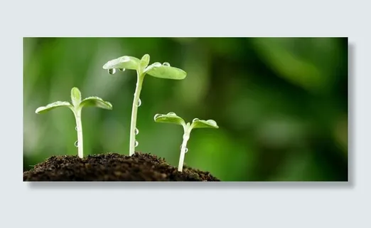 清新小草绿色背景图高清 清新小草绿色背景图高清