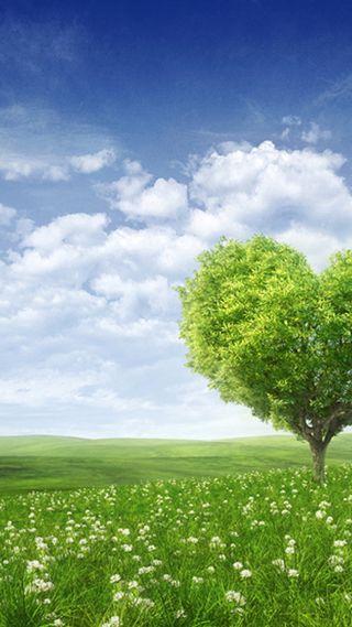 清新田野H5背景高清