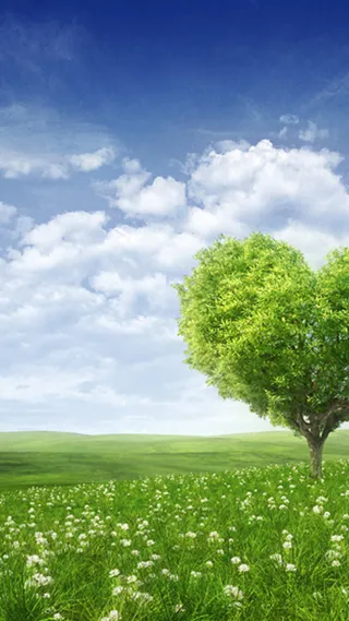 清新田野H5背景高清