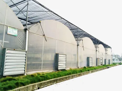 连栋温室免抠 连栋温室免抠