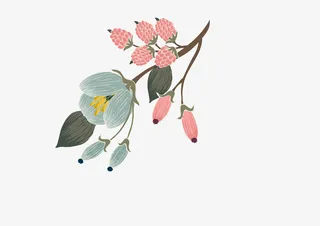 手绘花朵素材水彩免抠