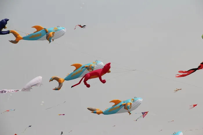 各种各样的风筝高清