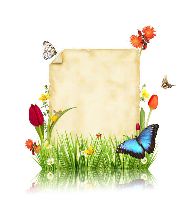 羊皮纸与鲜花草地背景免抠背景底纹元素