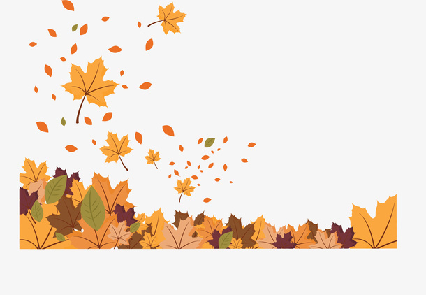 秋分立秋金色枫叶免抠