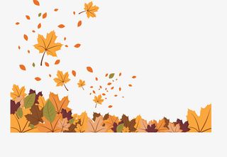 秋分立秋金色枫叶免抠