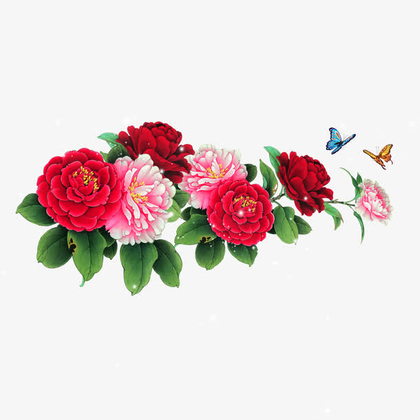 牡丹花素材免抠