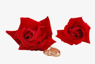 玫瑰与戒指免抠