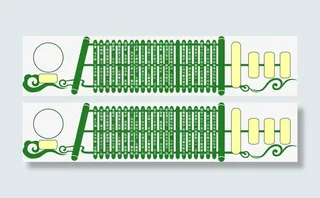矢量手绘竹简免抠