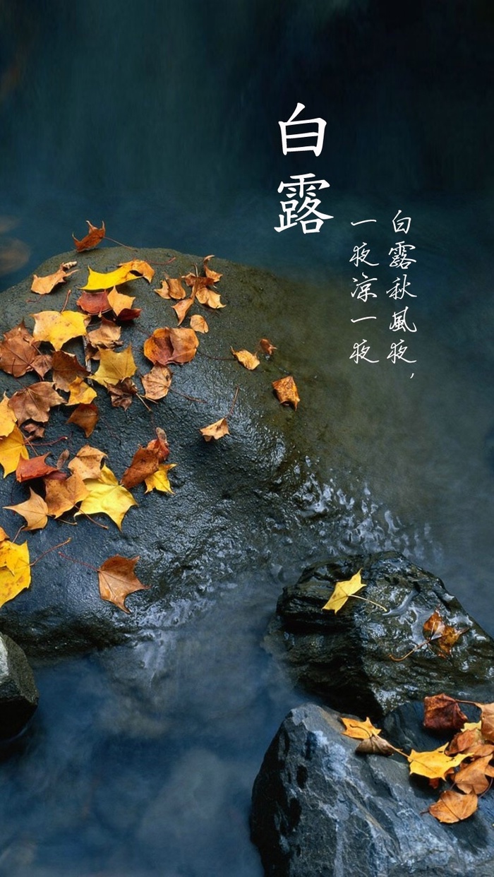 节气H5背景高清