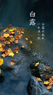 节气H5背景高清