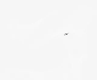 白色线条背景免抠