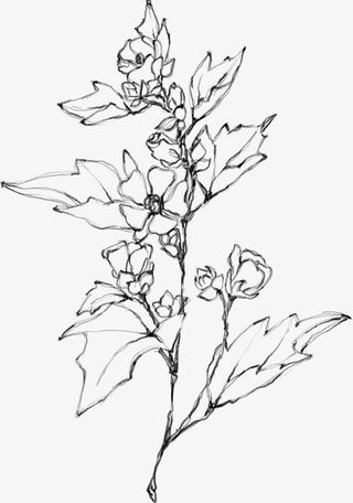 水墨花朵元素54免抠动植物植物元素