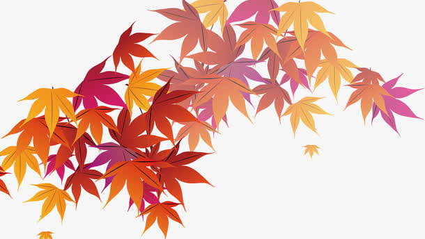 枫叶免抠