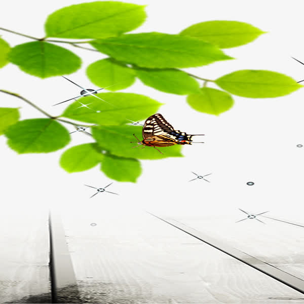 树叶免抠