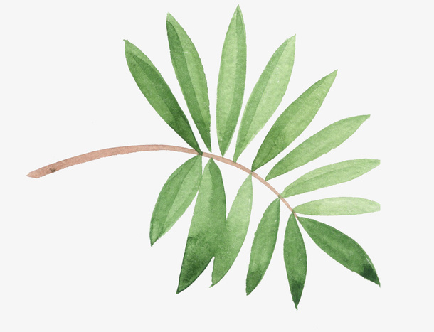 绿色叶子水彩手绘免抠