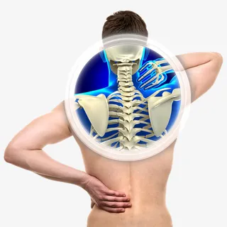 颈椎x光手摸颈椎免抠