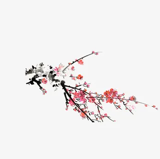 梅花免抠