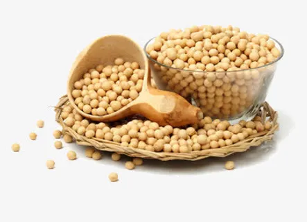 黄豆免抠