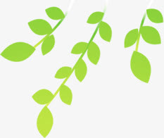 绿叶叶子树叶春天免抠装饰植物元素