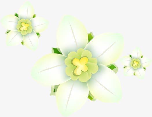 春天手绘绿色花朵免抠