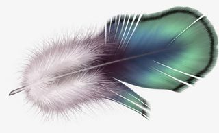 手绘梦幻蓝色渐变羽毛免抠