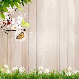 欧式  典雅  尊贵 实木 纹理 木地板高清