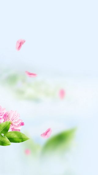 小清新桃花背景素材H5背景高清