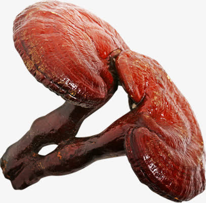 红色高清林芝药物免抠