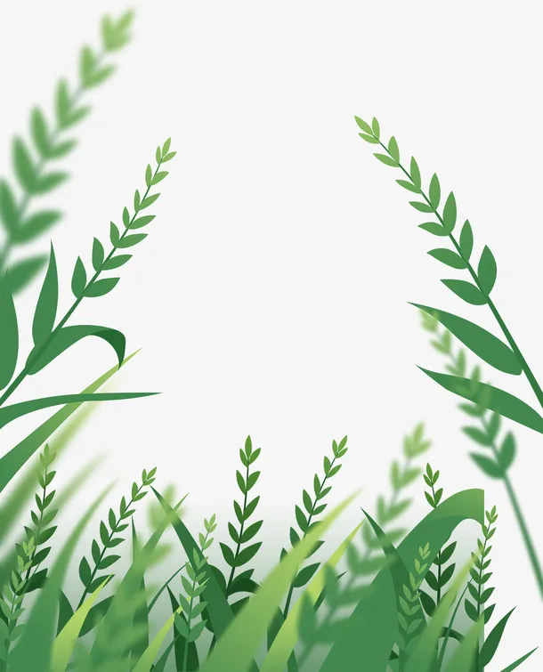 手绘、插画草免抠