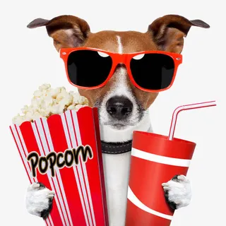 贪吃的狗狗免抠