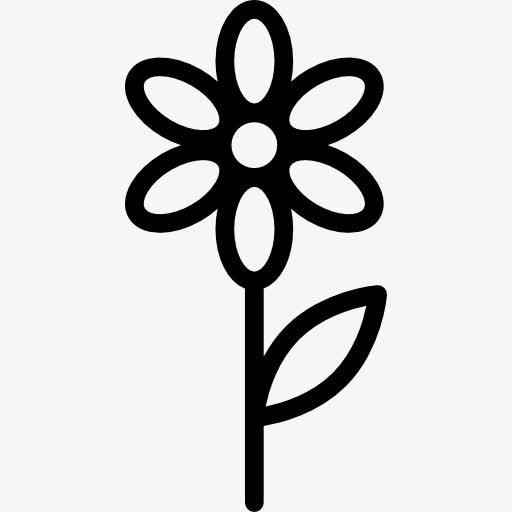 甘菊图标免抠