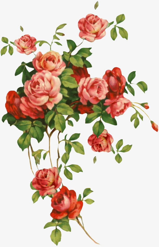 高清手绘卡通鲜花png免抠
