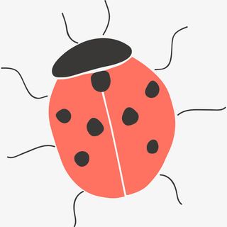 手绘七星瓢虫免抠