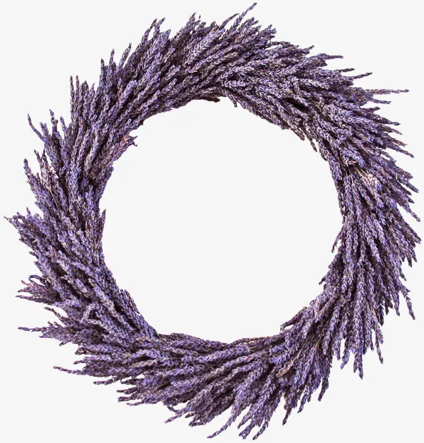 紫色花枝圆环免抠