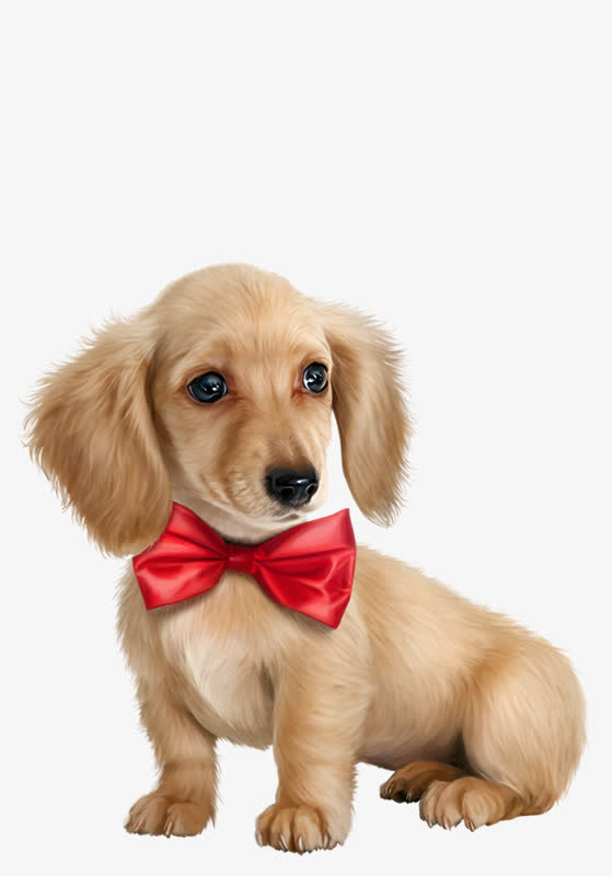 可爱金毛幼犬免抠素材免抠