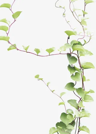 绿色藤叶元旦新年快乐免抠