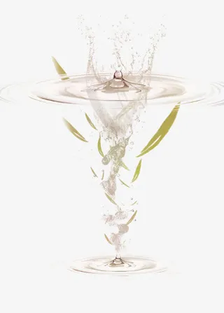 水中的茶叶免抠