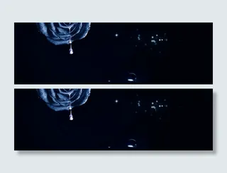 玫瑰水滴童话背景高清