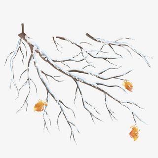 灰色大雪植物环境免抠