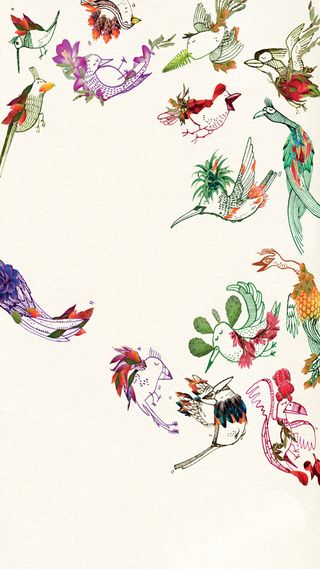 手绘鸟类H5背景高清