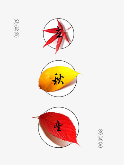 立秋免抠