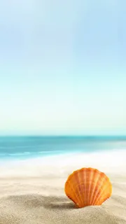 贝壳H5背景高清