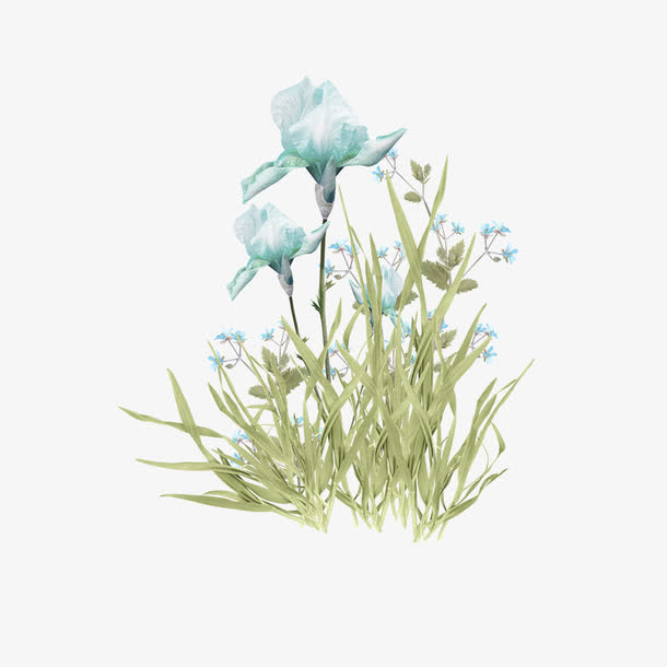手绘蓝色花草免抠
