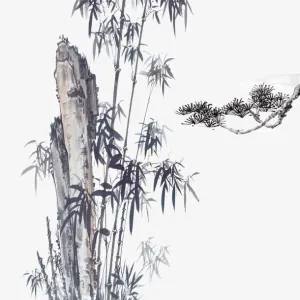 竹子 树枝 黑白免抠