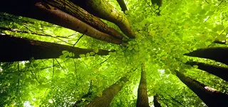 淘宝背景图高清