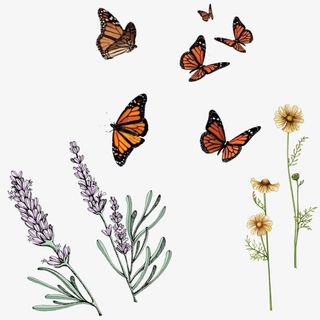 花蝴蝶薰衣草素材免抠