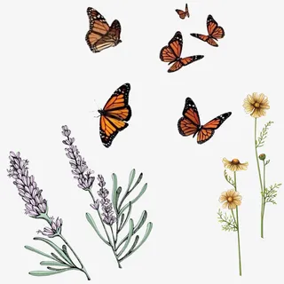 花蝴蝶薰衣草素材免抠