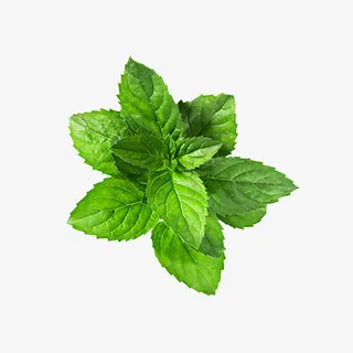 新鲜薄荷叶果汁免抠